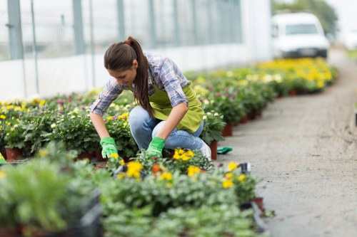 Company team working in a Stratford garden setting