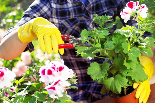 Team member inspecting a garden before work starts