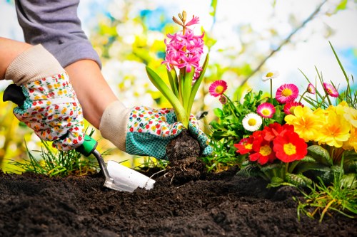Seasonal garden clean-up in Stratford