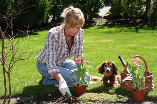 Gardener using quality tools for garden maintenance